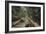 Barges on a Canal in Sri Lanka-null-Framed Photographic Print