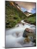 Baring Creek with Going to the Sun Mountain in Glacier National Park, Montana, USA-Chuck Haney-Mounted Photographic Print