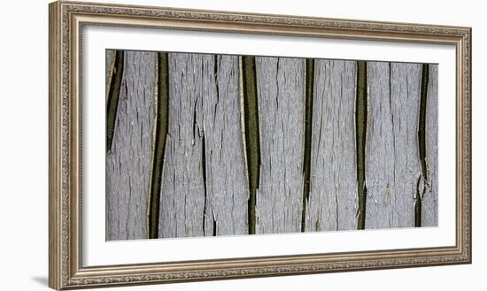 Bark Abstract-Art Wolfe-Framed Photographic Print