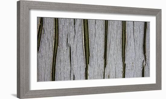 Bark Abstract-Art Wolfe-Framed Photographic Print