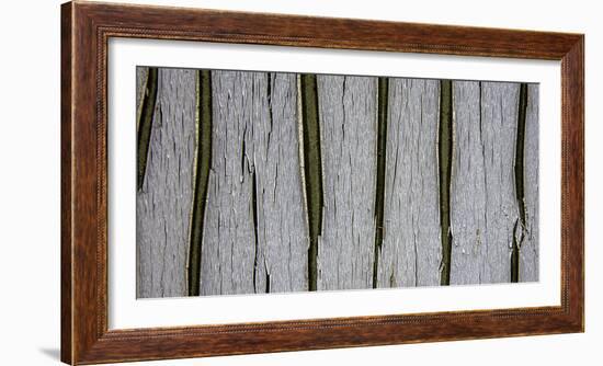 Bark Abstract-Art Wolfe-Framed Photographic Print