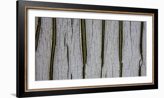 Bark Abstract-Art Wolfe-Framed Photographic Print