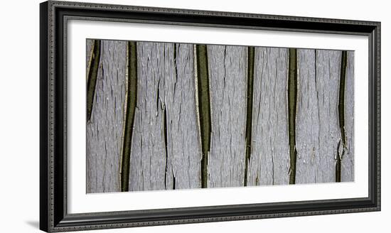 Bark Abstract-Art Wolfe-Framed Photographic Print