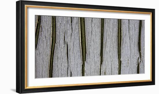 Bark Abstract-Art Wolfe-Framed Photographic Print