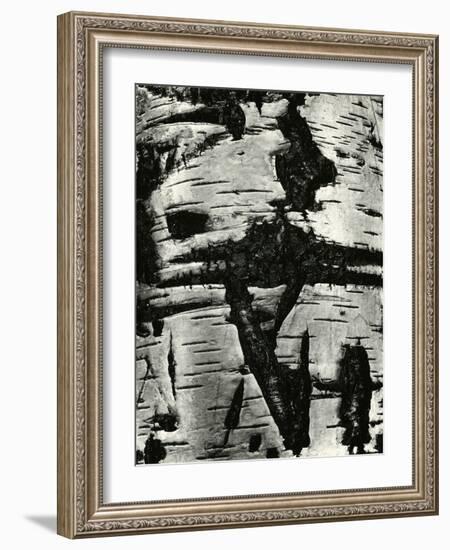 Bark Abstraction, Europe, 1971-Brett Weston-Framed Photographic Print