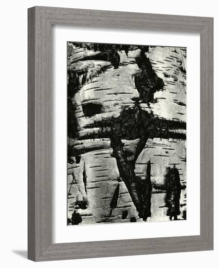Bark Abstraction, Europe, 1971-Brett Weston-Framed Photographic Print