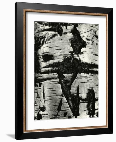 Bark Abstraction, Europe, 1971-Brett Weston-Framed Photographic Print