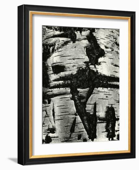 Bark Abstraction, Europe, 1971-Brett Weston-Framed Photographic Print