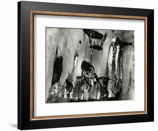 Bark, Europe, 1971-Brett Weston-Framed Photographic Print