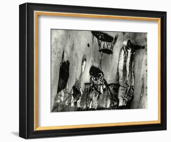 Bark, Europe, 1971-Brett Weston-Framed Photographic Print