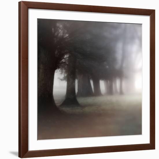 Bark Guards-Viviane Fedieu Daniel-Framed Photographic Print