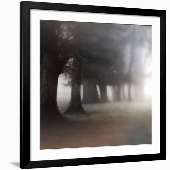 Bark Guards-Viviane Fedieu Daniel-Framed Photographic Print