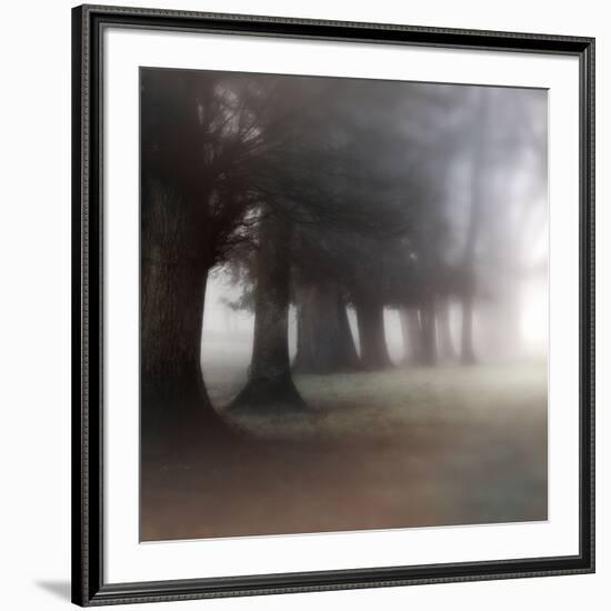 Bark Guards-Viviane Fedieu Daniel-Framed Photographic Print