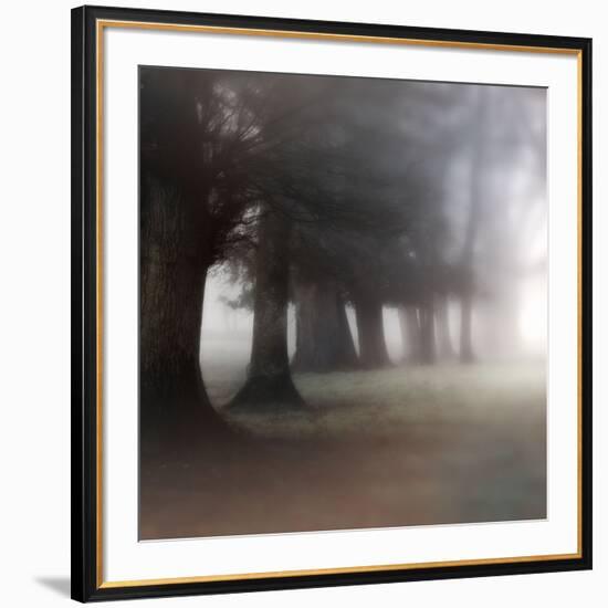 Bark Guards-Viviane Fedieu Daniel-Framed Photographic Print