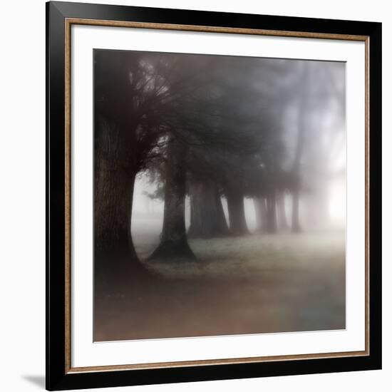 Bark Guards-Viviane Fedieu Daniel-Framed Photographic Print