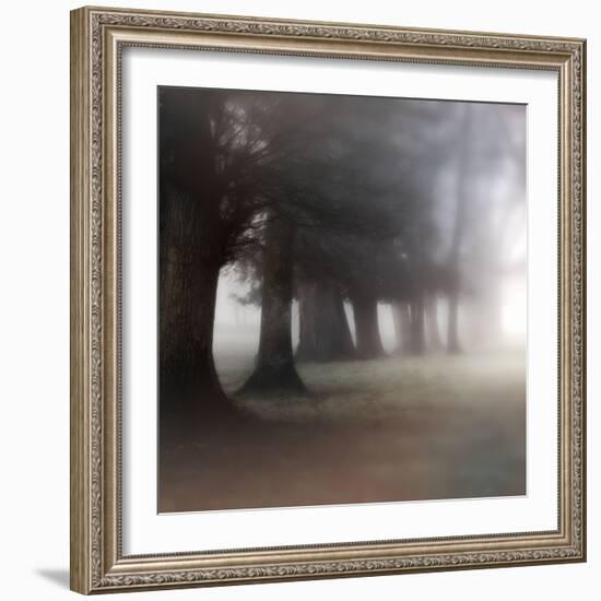 Bark Guards-Viviane Fedieu Daniel-Framed Photographic Print