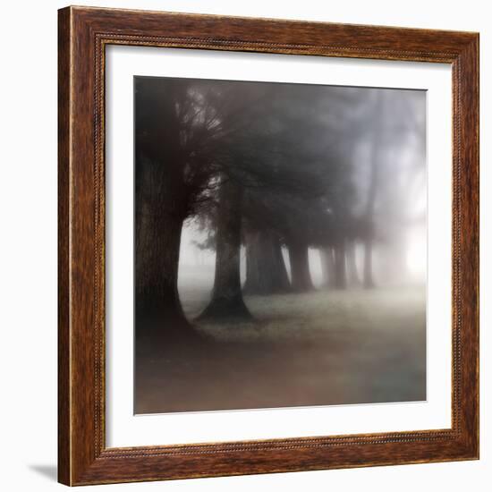 Bark Guards-Viviane Fedieu Daniel-Framed Photographic Print