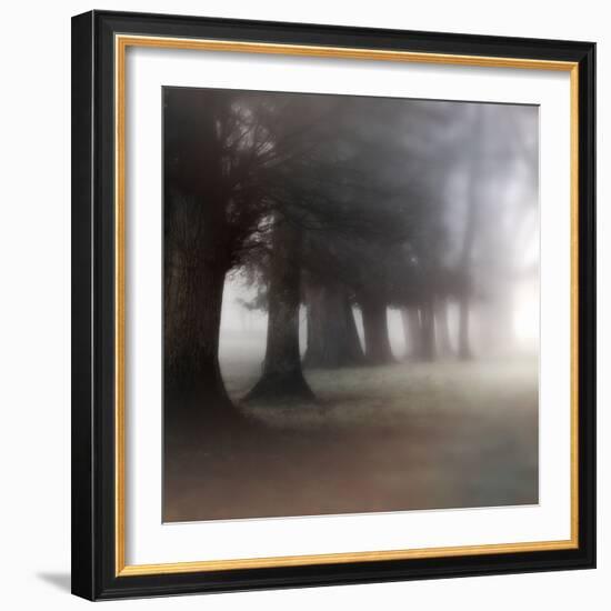 Bark Guards-Viviane Fedieu Daniel-Framed Photographic Print