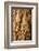 Bark of Kokerboom or Quiver Tree, Mesosaurus Fossil Camp, near Keetmanshoop, Namibia, Africa-David Wall-Framed Photographic Print