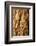 Bark of Kokerboom or Quiver Tree, Mesosaurus Fossil Camp, near Keetmanshoop, Namibia, Africa-David Wall-Framed Photographic Print