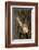 Bark-K.B. White-Framed Photographic Print