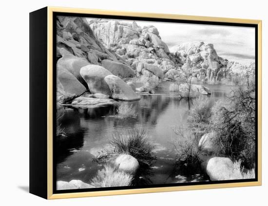 Barker Dam, Joshua Tree National Park, California, USA-Janell Davidson-Framed Premier Image Canvas