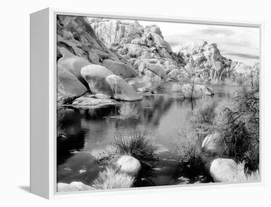 Barker Dam, Joshua Tree National Park, California, USA-Janell Davidson-Framed Premier Image Canvas