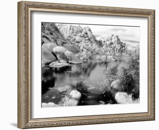 Barker Dam, Joshua Tree National Park, California, USA-Janell Davidson-Framed Photographic Print