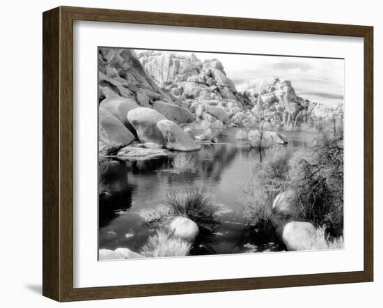 Barker Dam, Joshua Tree National Park, California, USA-Janell Davidson-Framed Photographic Print