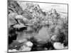 Barker Dam, Joshua Tree National Park, California, USA-Janell Davidson-Mounted Photographic Print