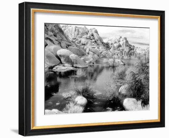 Barker Dam, Joshua Tree National Park, California, USA-Janell Davidson-Framed Photographic Print