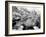 Barker Dam, Joshua Tree National Park, California, USA-Janell Davidson-Framed Photographic Print