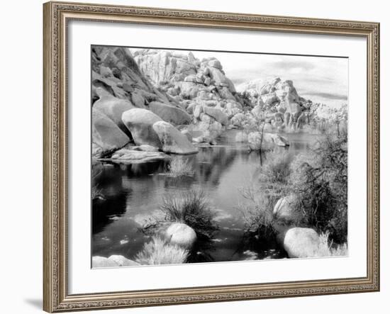 Barker Dam, Joshua Tree National Park, California, USA-Janell Davidson-Framed Photographic Print