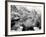 Barker Dam, Joshua Tree National Park, California, USA-Janell Davidson-Framed Photographic Print