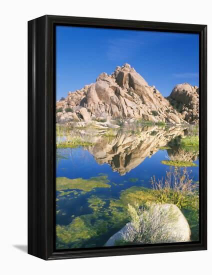 Barker Dam, Joshua Tree National Park, California, USA-Rob Tilley-Framed Premier Image Canvas