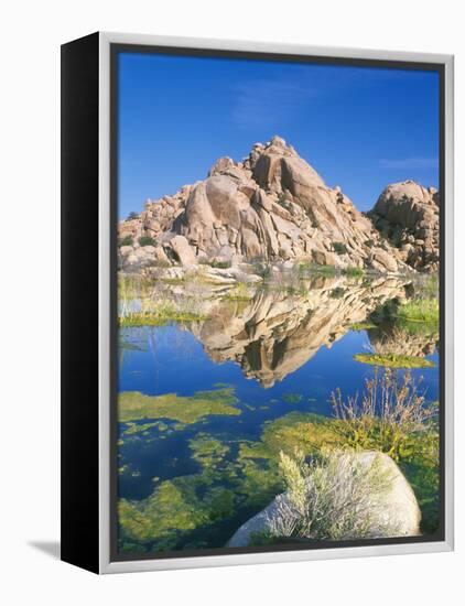 Barker Dam, Joshua Tree National Park, California, USA-Rob Tilley-Framed Premier Image Canvas