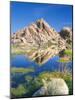 Barker Dam, Joshua Tree National Park, California, USA-Rob Tilley-Mounted Photographic Print