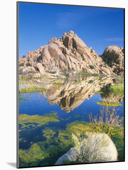 Barker Dam, Joshua Tree National Park, California, USA-Rob Tilley-Mounted Photographic Print