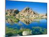 Barker Dam, Joshua Tree National Park, California, USA-Rob Tilley-Mounted Photographic Print