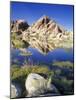 Barker Dam, Joshua Tree National Park, California, USA-Rob Tilley-Mounted Photographic Print