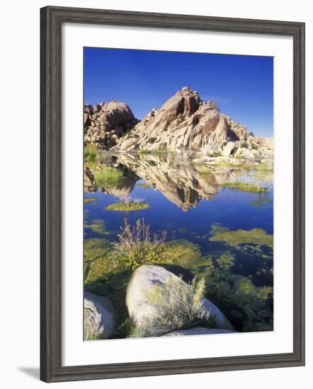 Barker Dam, Joshua Tree National Park, California, USA-Rob Tilley-Framed Photographic Print