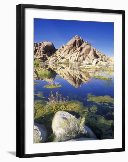 Barker Dam, Joshua Tree National Park, California, USA-Rob Tilley-Framed Photographic Print