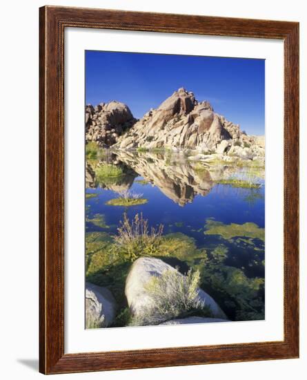 Barker Dam, Joshua Tree National Park, California, USA-Rob Tilley-Framed Photographic Print