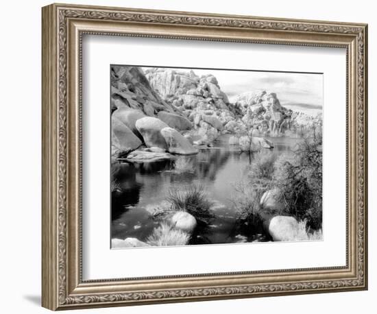 Barker Dam, Joshua Tree National Park, California, USA-Janell Davidson-Framed Photographic Print