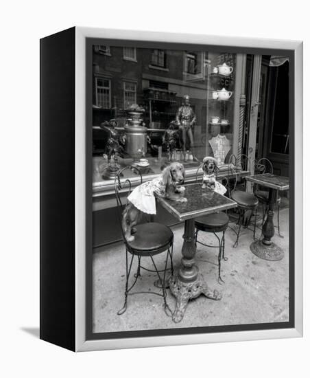 Barking at the Waiter-Jim Dratfield-Framed Stretched Canvas