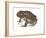 Barking Frog (Eleutherodactylus Latrans), Amphibians-Encyclopaedia Britannica-Framed Art Print