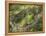 Barking tree frog on branch, Hyla gratiosa, Florida-Maresa Pryor-Framed Premier Image Canvas