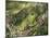 Barking tree frog on branch, Hyla gratiosa, Florida-Maresa Pryor-Mounted Photographic Print