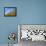 Barley against Blue Sky, East Himalayas, Tibet, China-Keren Su-Framed Premier Image Canvas displayed on a wall