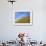 Barley against Blue Sky, East Himalayas, Tibet, China-Keren Su-Framed Photographic Print displayed on a wall